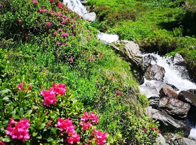 아파트 Eberharter *