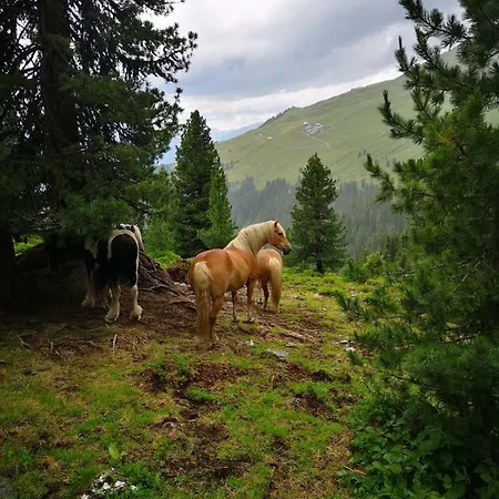 דירה Eberharter Aschau Im Zillertal